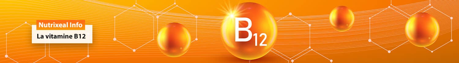 Vitamine B12 : fiche info Nutrixeal